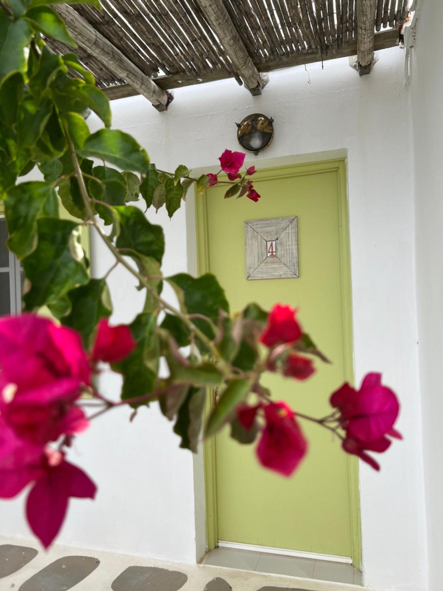 Villa Zografos Irakleia  Bagian luar foto